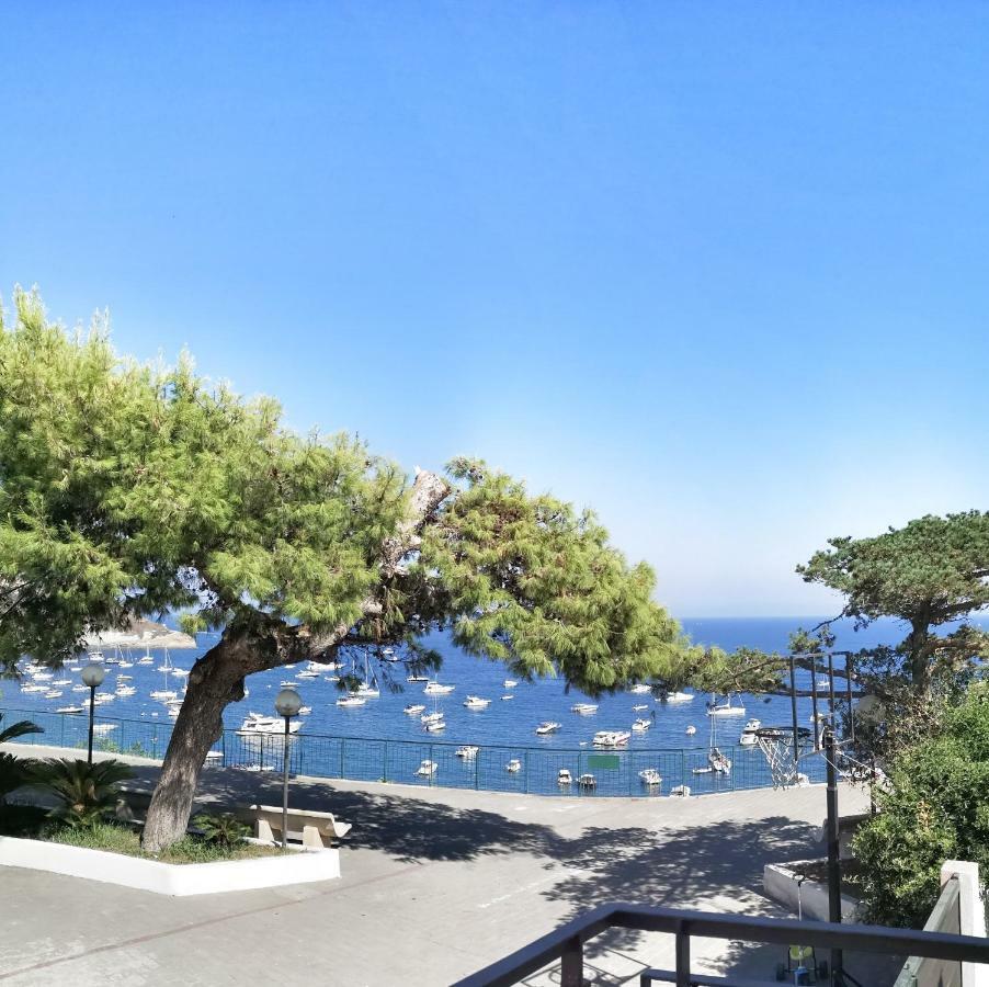 Calise Guest House B Senza Balcone Прочида Екстериор снимка