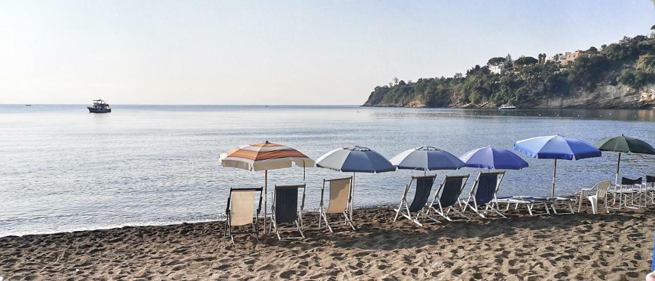 Calise Guest House B Senza Balcone Прочида Екстериор снимка